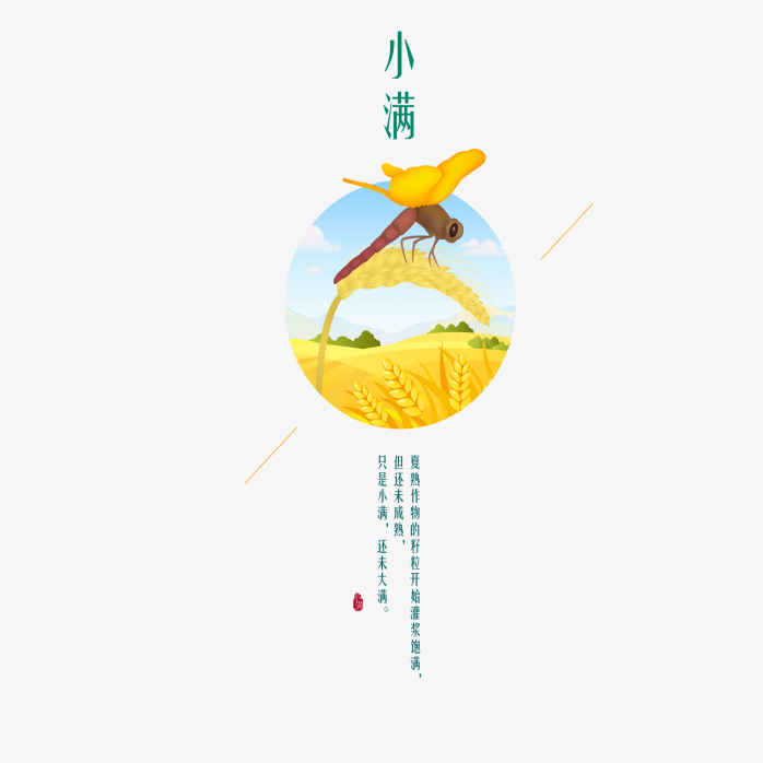 手绘小满节气