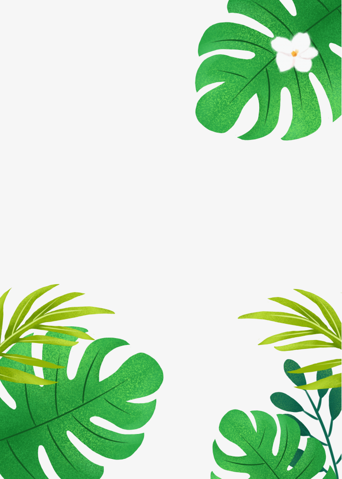 边框