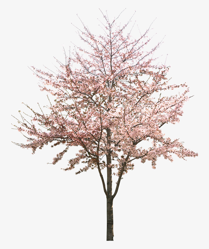树