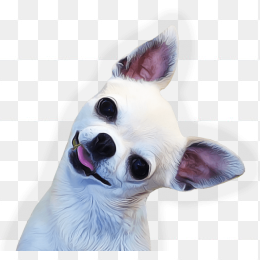 狗头