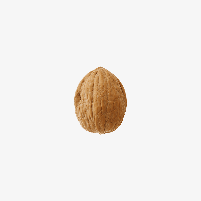坚果