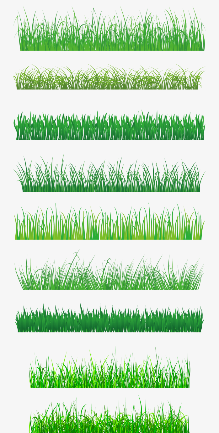 绿色小草地