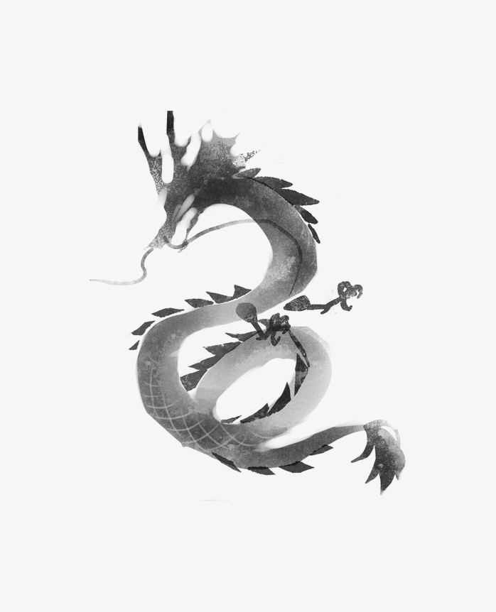 龙