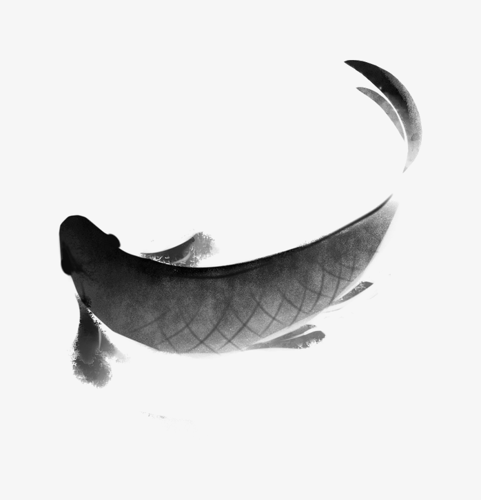 鲤鱼