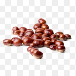 板栗