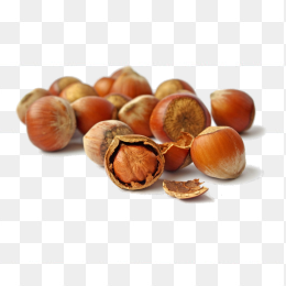 毛栗