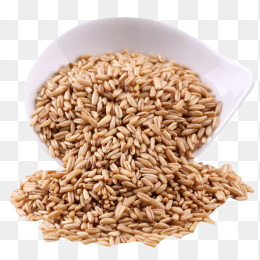 麦粒