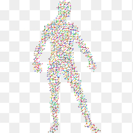 人体轮阔分子结构图