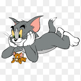 猫和老鼠