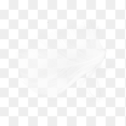羽毛