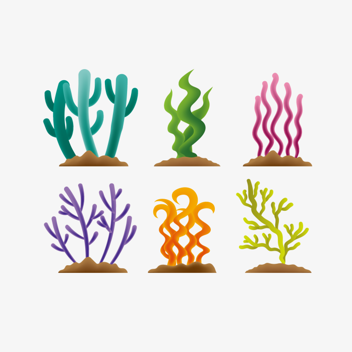 手绘海草