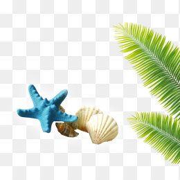 海滩，水星