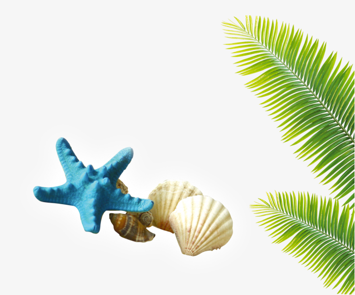 海滩，水星