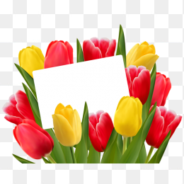  节日  38  妇女节  3月8日  38妇女节  三八妇女节 