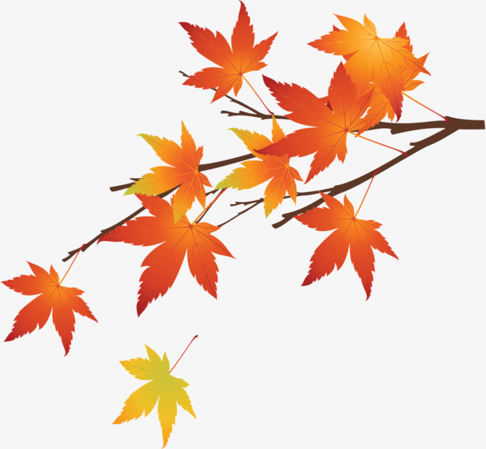 秋天手绘树叶