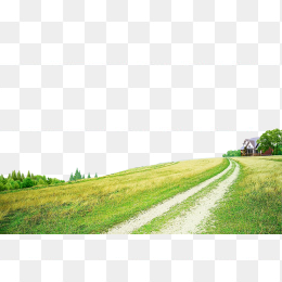 绿色草地小路