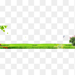 绿色草地