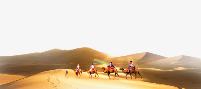 沙漠骆驼风景