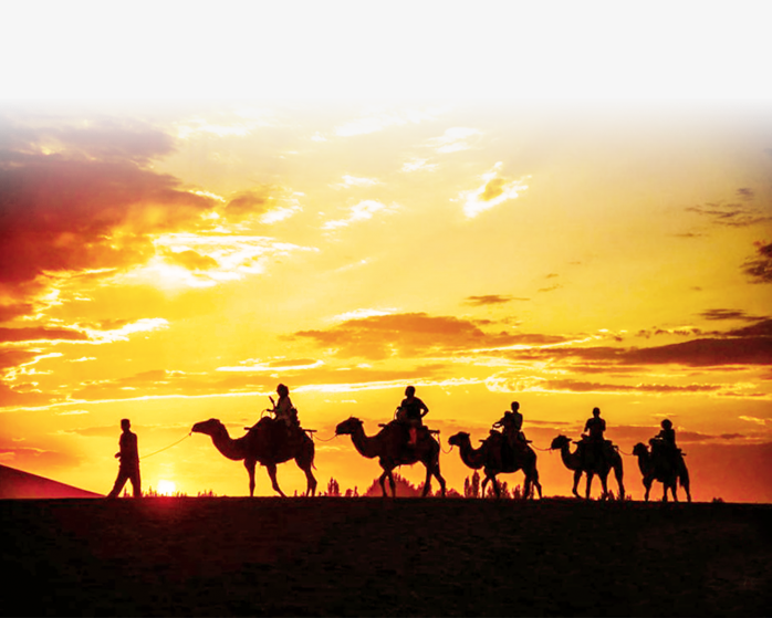沙漠骆驼风景
