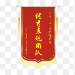 优秀表现团队锦旗