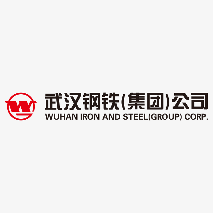 武汉钢铁集团公司logo