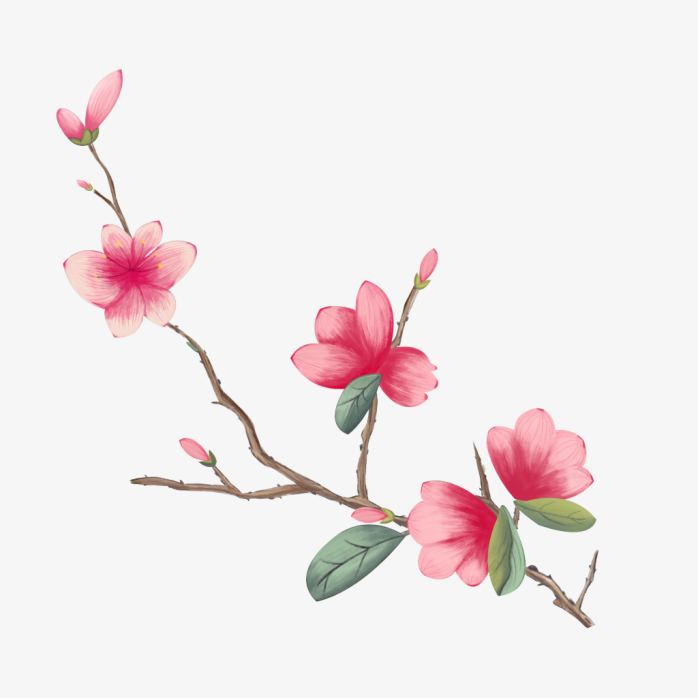 花卉