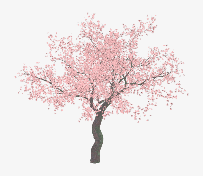 樱花树剪贴画