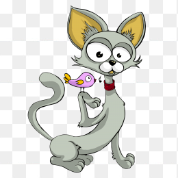 可爱猫