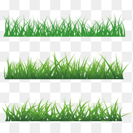 草