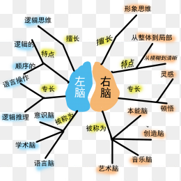 左右脑对比思维导图