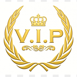 vip会员