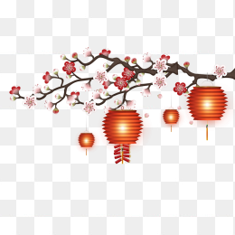 腊梅灯笼