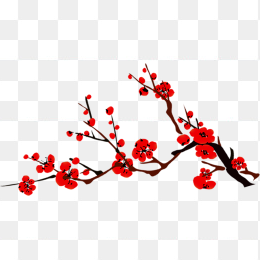 腊梅