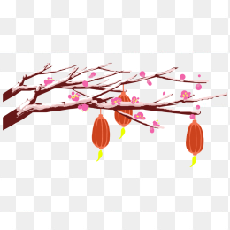 腊梅