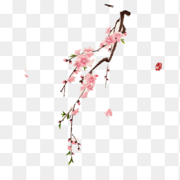 手绘梅花