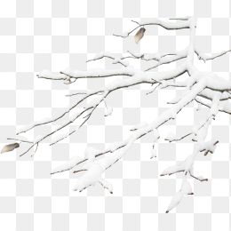 雪堆树枝