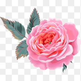 花装饰图片