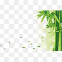 环保素材竹子叶落