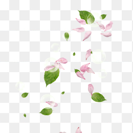 粉色花瓣素材碎花瓣