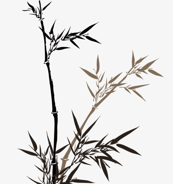 墨水竹子