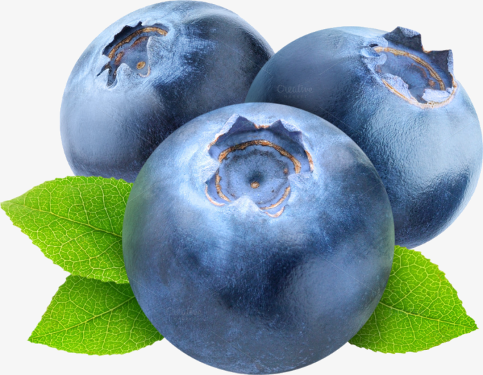 诱人蓝莓