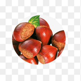 板栗
