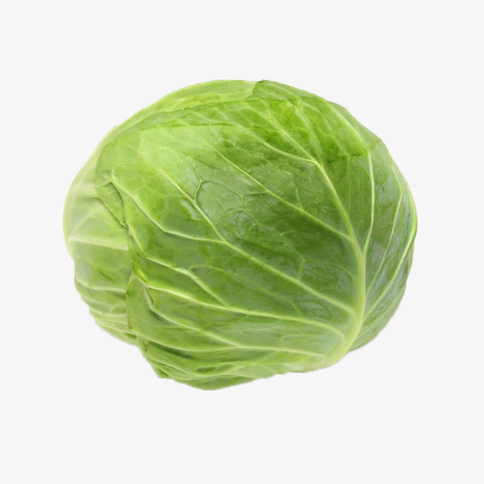 包菜