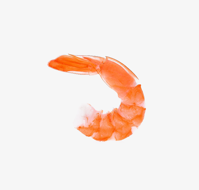 虾肉