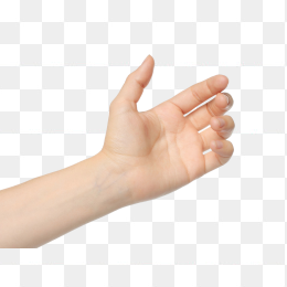 手