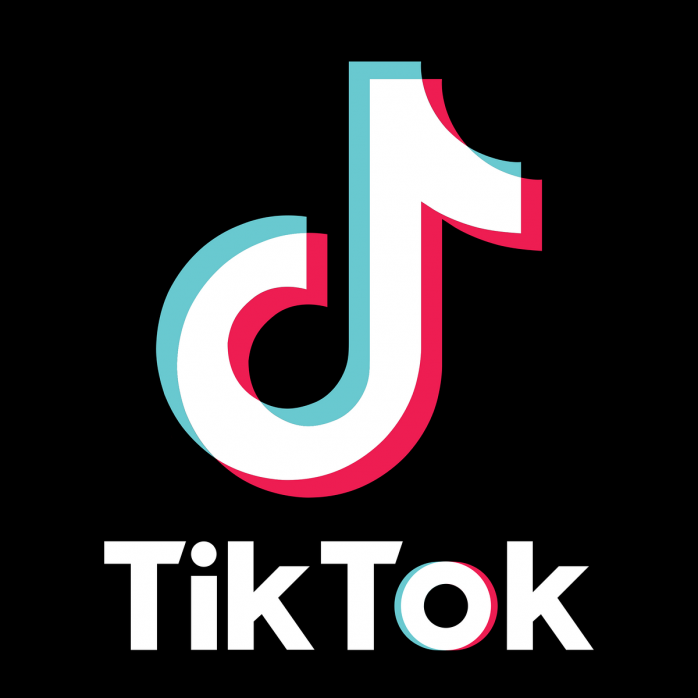 TIK TOK图标