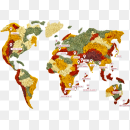 世界地图
