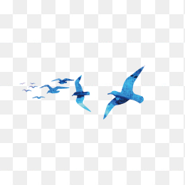手绘海鸥