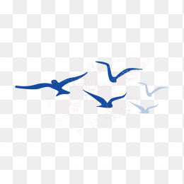 海鸥