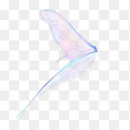 蝴蝶